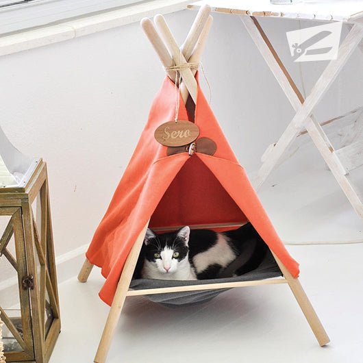 Kedi Çadırı