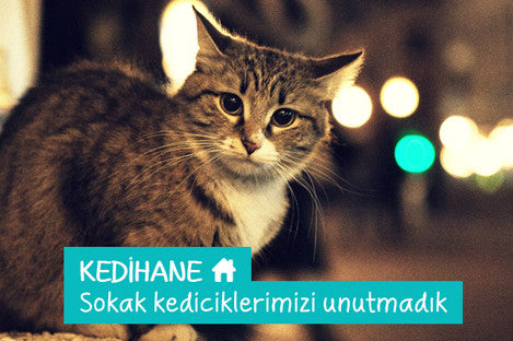 Kedihaneyi yapmak hem çok kolay hem de çok ekonomik!